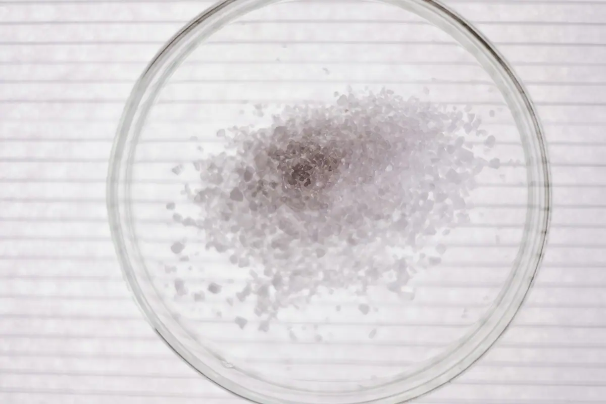 Research Development Service Page Service 6 Image