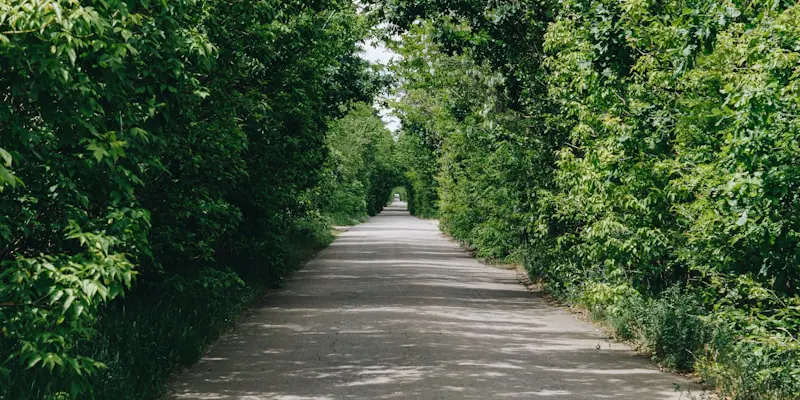 Sustainability Hero Image